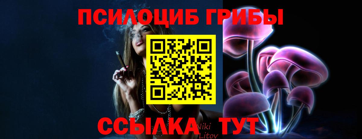 Псилоцибиновые грибы MAGIC MUSHROOMS  Вход с VPN  Шуя 